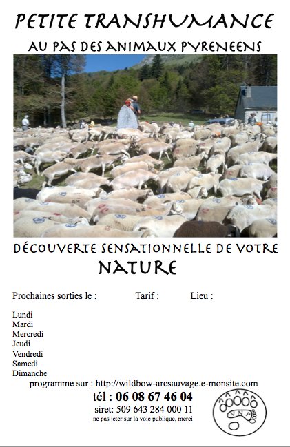 Petite transhumance